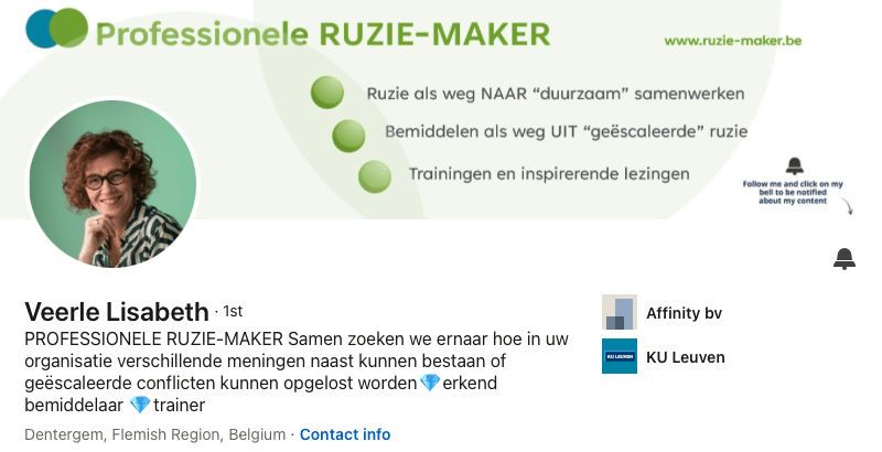 Linkedin Veerle Lisabeth